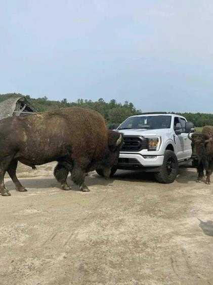 人家有人包养你行吗 囧图 你和你的两位攀岩教练