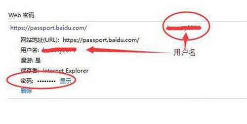 怎么查看Win11网络凭据账户和密码?