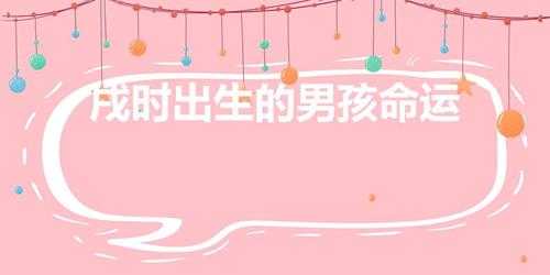 戌时出生的男孩命运（寅时出生的男孩什么命)