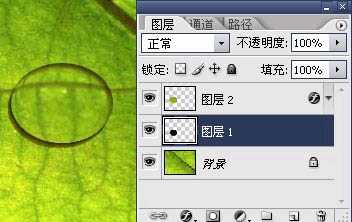Photoshop打造绿叶上的漂亮的水珠