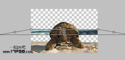 photoshop合成制作海龟岛&shy;自然场景